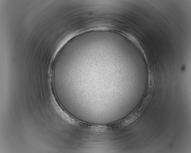 X0000116380859200912161459