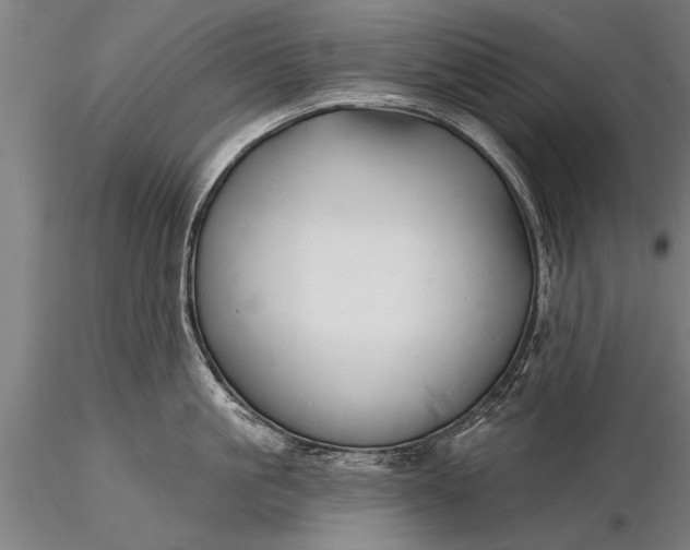 X0000116380861200912161459