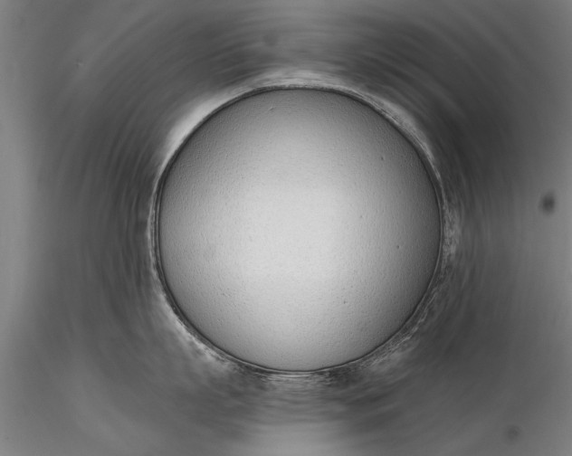 X0000116380863200912161459