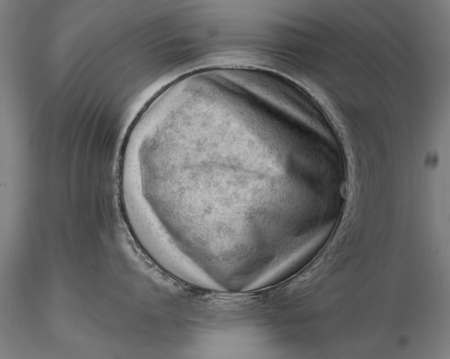 X0000116380864200912161459