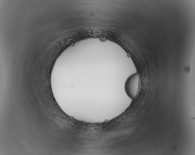 X0000116380865200912161459