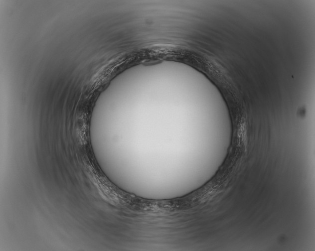 X0000116380868200912161458