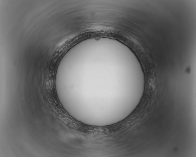 X0000116380869200912161458