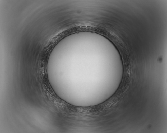 X0000116380870200912161458