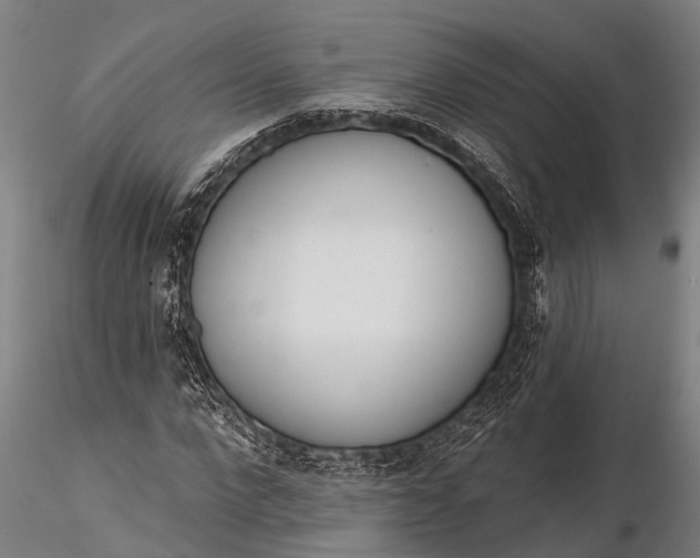 X0000116380872200912161458