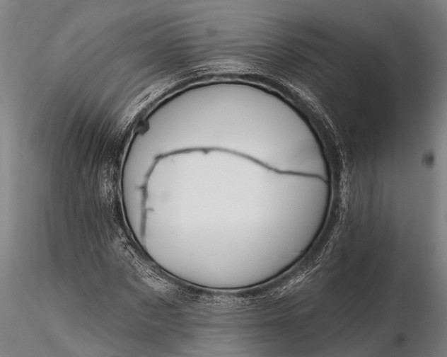 X0000116380873200912161458