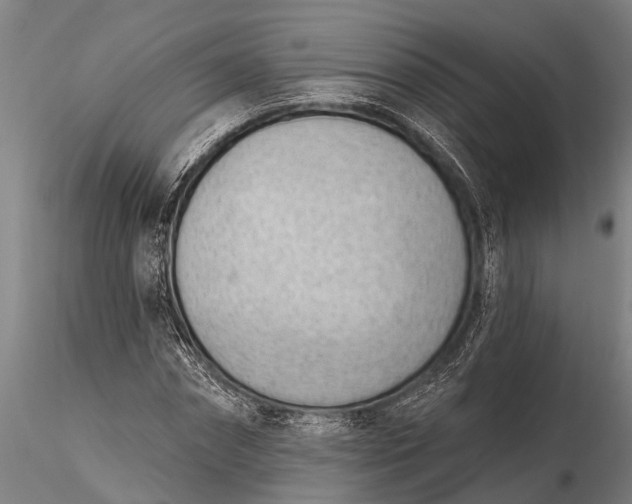 X0000116380874200912161458
