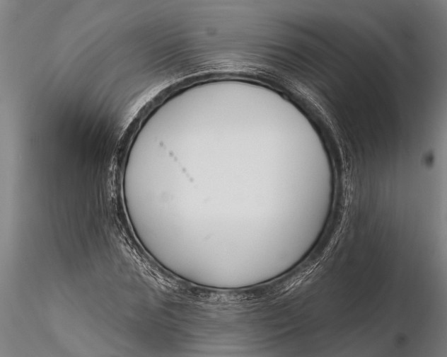X0000116380875200912161458