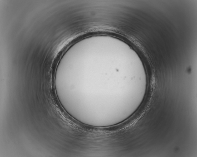X0000116380877200912161458