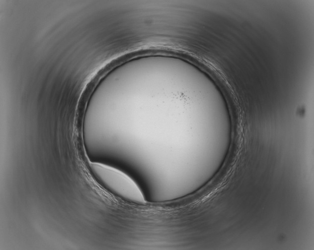 X0000116380880200912161458