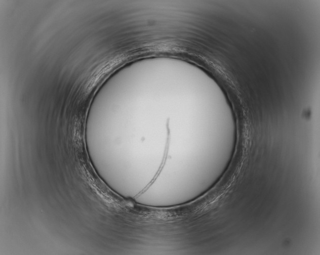 X0000116380881200912161458