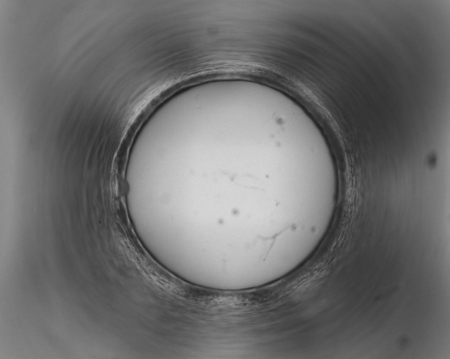 X0000116380883200912161458