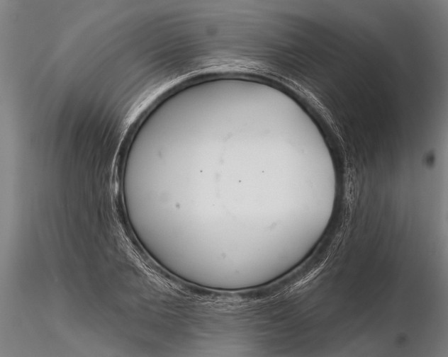 X0000116380885200912161458
