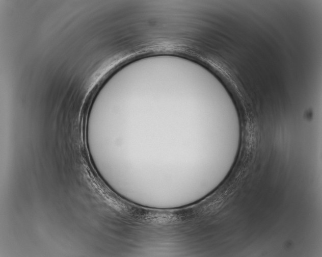 X0000116380886200912161458