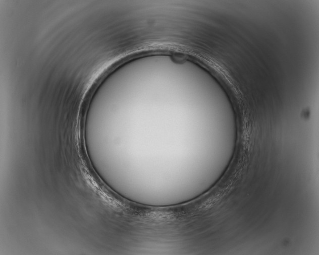 X0000116380888200912161458