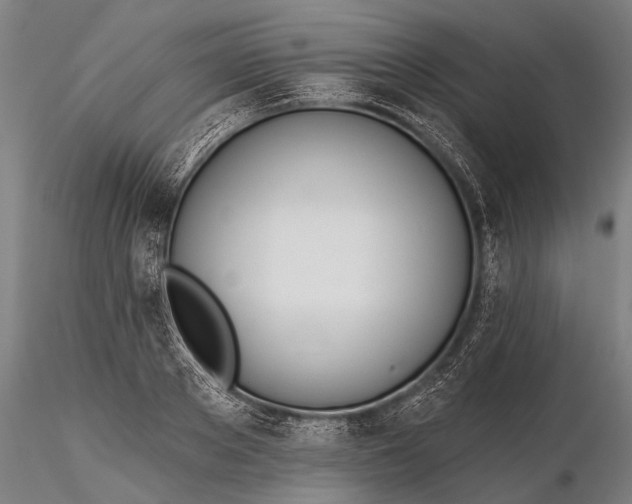 X0000116380889200912161458