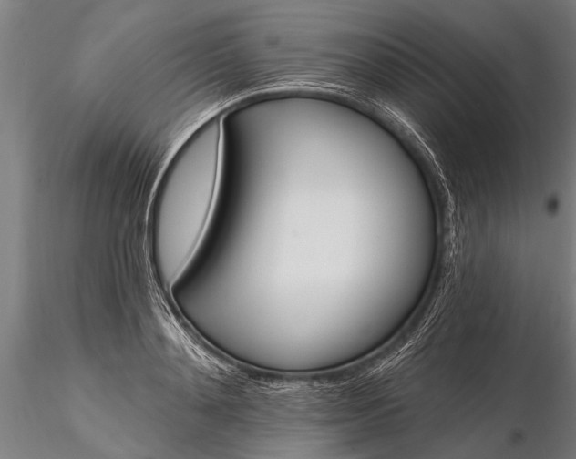 X0000116380892200912161458