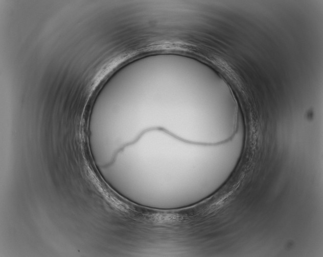 X0000116380893200912161458