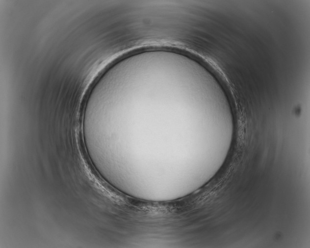 X0000116380895200912161458