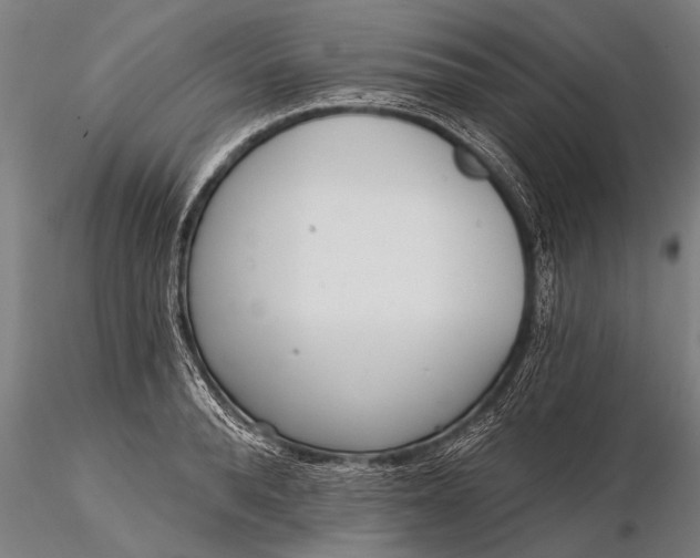 X0000116380896200912161458