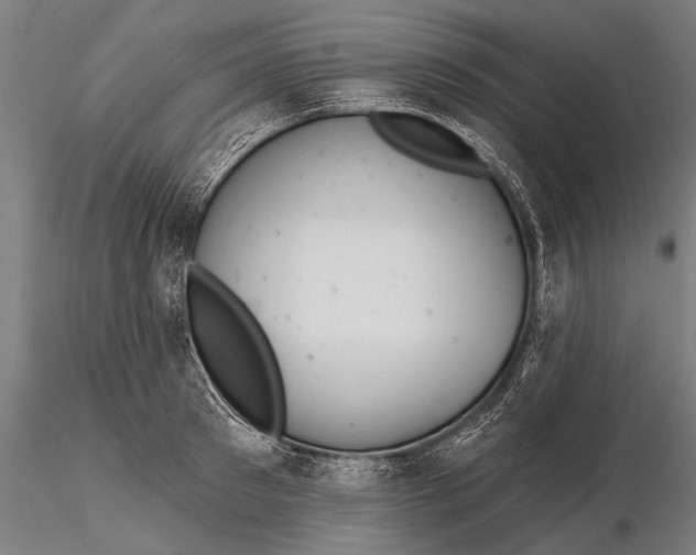 X0000116380897200912161458