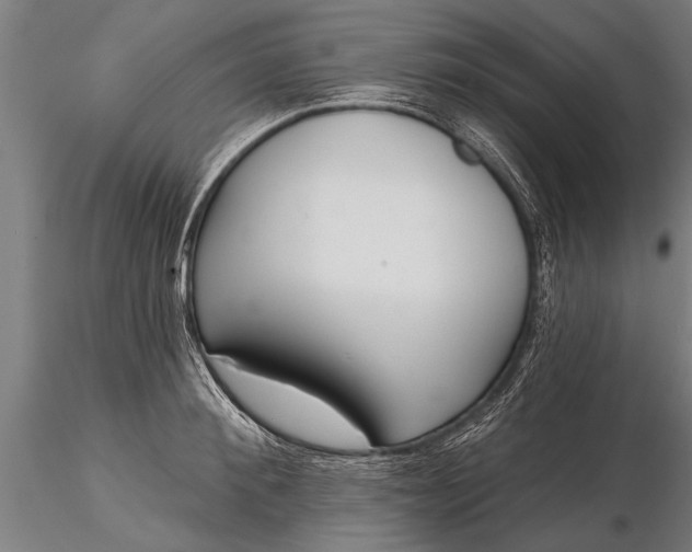 X0000116380900200912161458