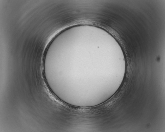 X0000116380904200912161458