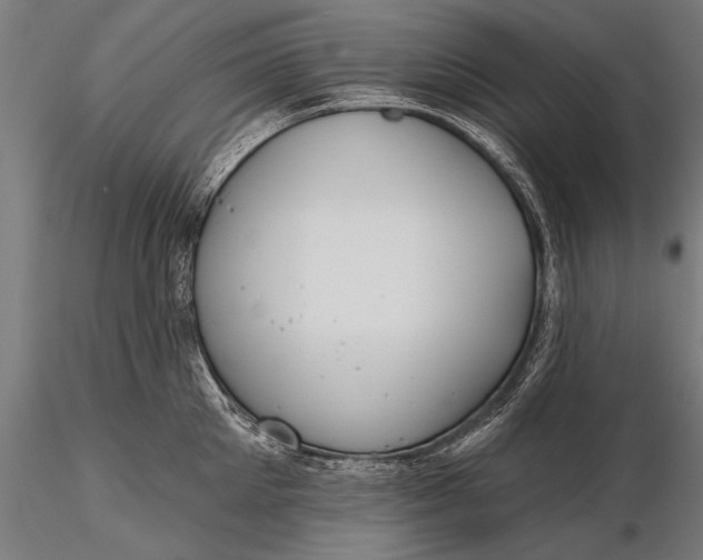 X0000116380905200912161458
