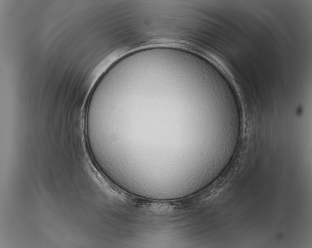 X0000116380907200912161458