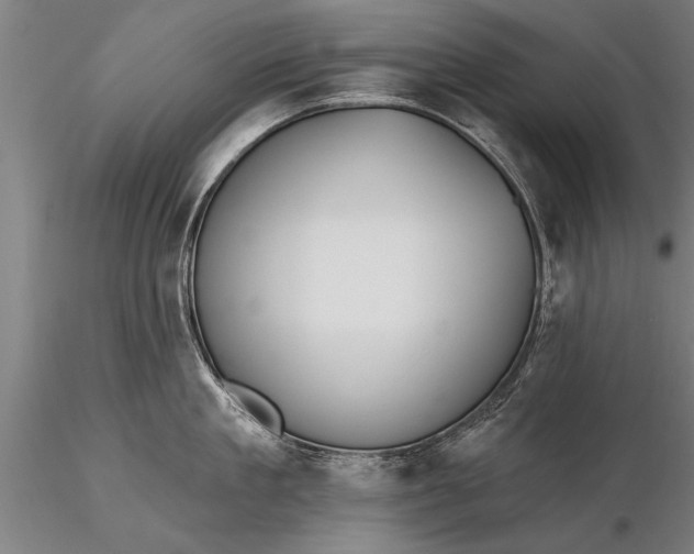 X0000116380909200912161458