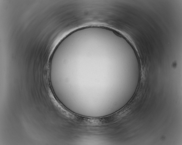 X0000116380911200912161458