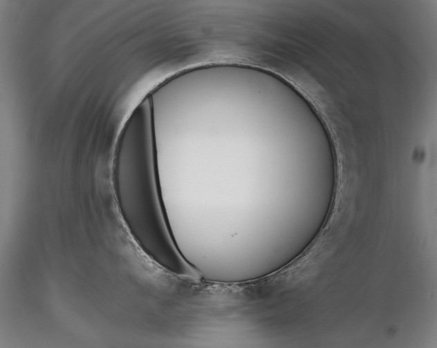 X0000116380912200912161458