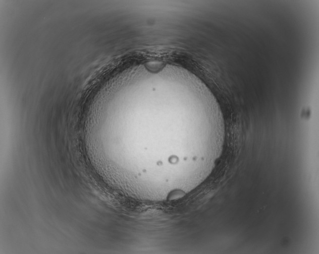 X0000116380913200912161457