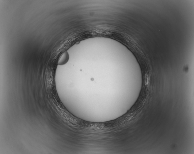 X0000116380915200912161457