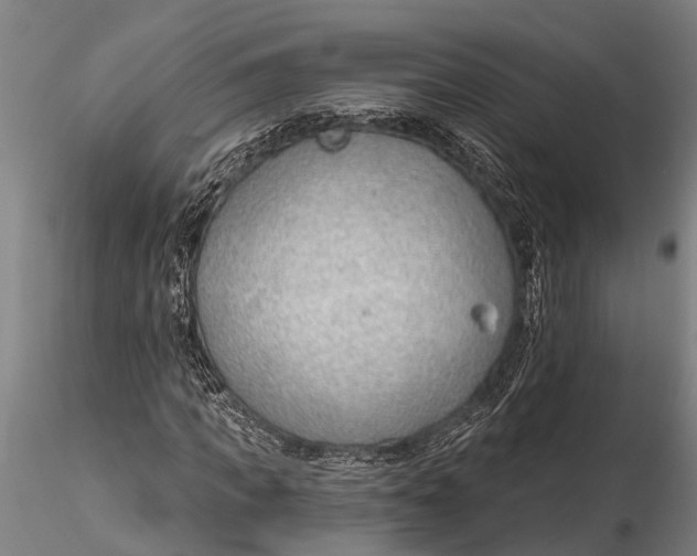 X0000116380917200912161457