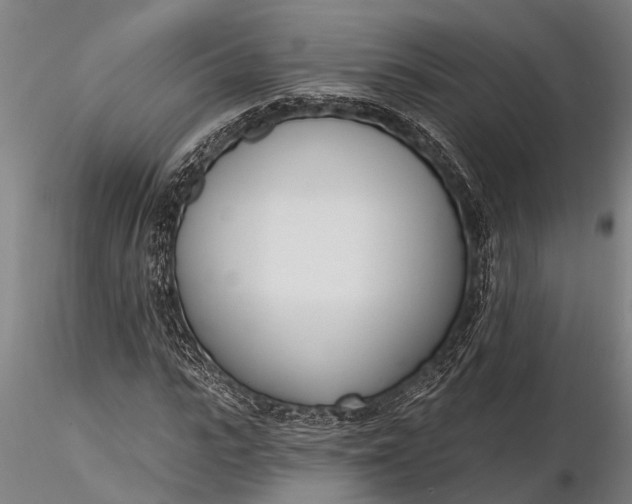 X0000116380919200912161457