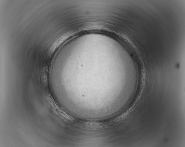 X0000116380921200912161457