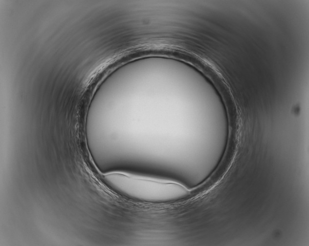 X0000116380922200912161457