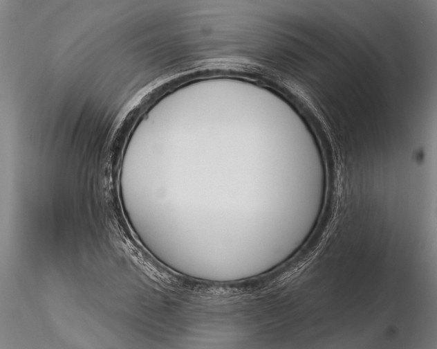 X0000116380923200912161457