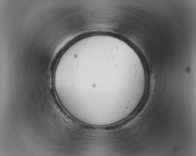 X0000116380925200912161457