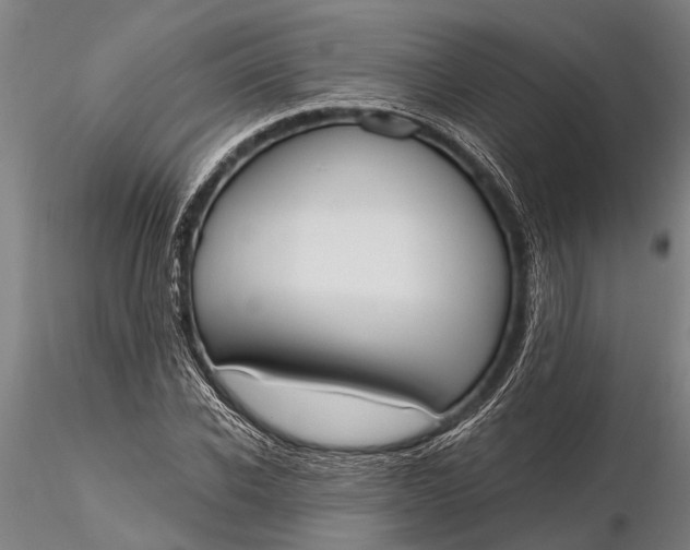 X0000116380926200912161457