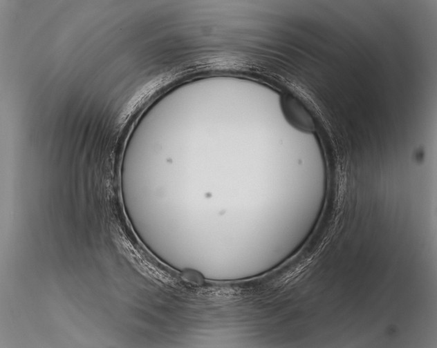 X0000116380930200912161457