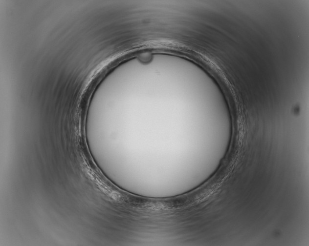 X0000116380931200912161457