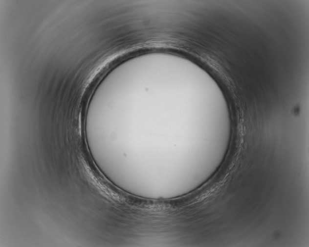 X0000116380934200912161457