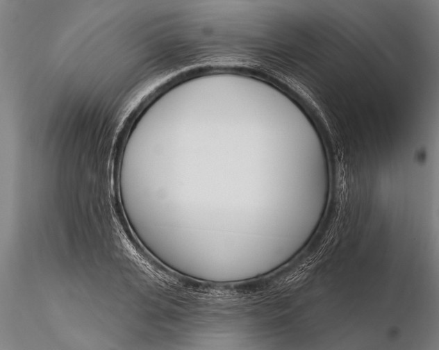 X0000116380935200912161457