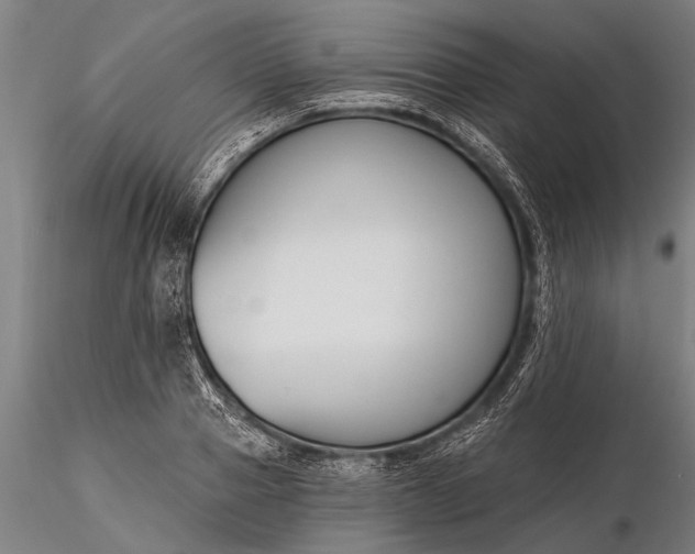 X0000116380937200912161457