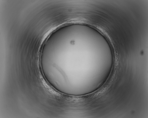 X0000116380941200912161457