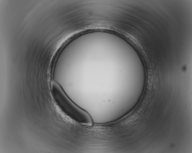 X0000116380942200912161457