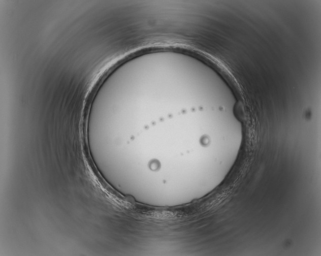 X0000116380943200912161457