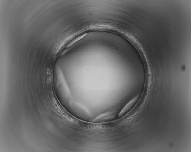 X0000116380945200912161457